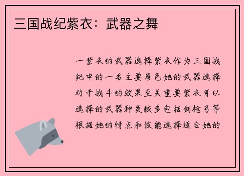 三国战纪紫衣：武器之舞