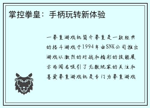 掌控拳皇：手柄玩转新体验